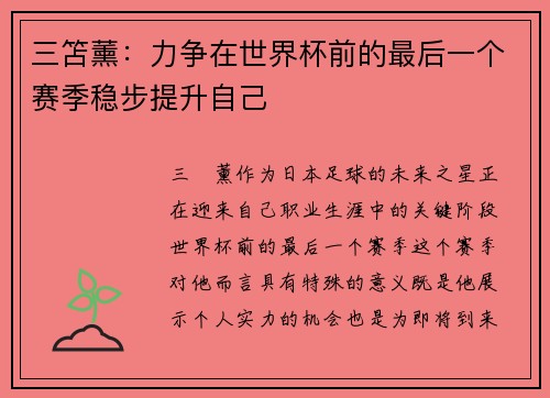 三笘薰:力争在世界杯前的最后一个赛季稳步提升自己 三笘薰:力争在世界杯前的最后一个赛季稳步提升自己