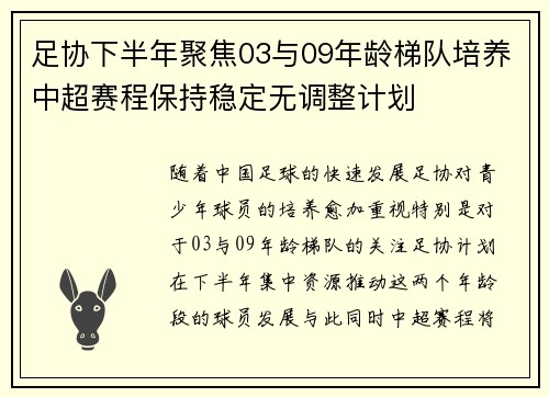 足协下半年聚焦03与09年龄梯队培养中超赛程保持稳定无调整计划 足协下半年聚焦03与09年龄梯队培养中超赛程保持稳定无调整计划