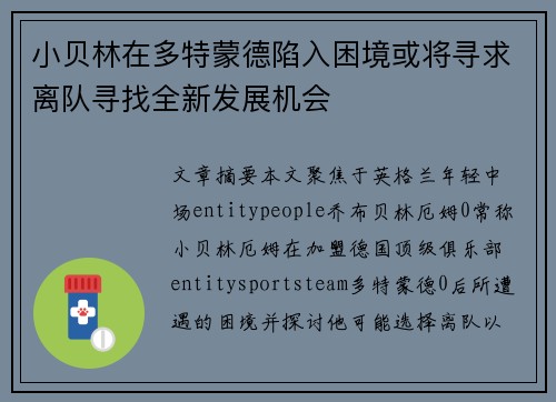 小贝林在多特蒙德陷入困境或将寻求离队寻找全新发展机会 小贝林在多特蒙德陷入困境或将寻求离队寻找全新发展机会